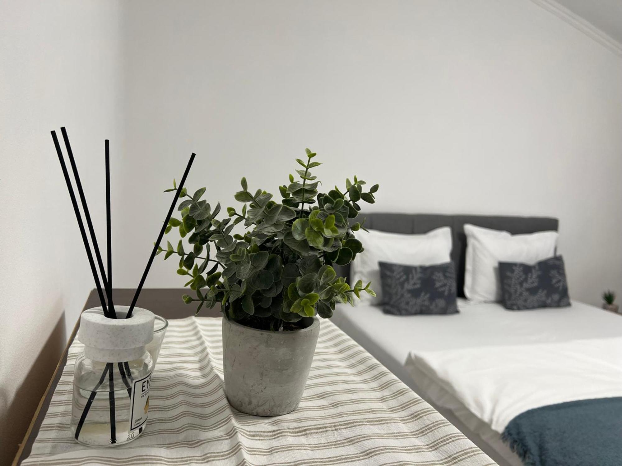 Ndl Downtown Διαμέρισμα Κλουζ-Ναπόκα Εξωτερικό φωτογραφία