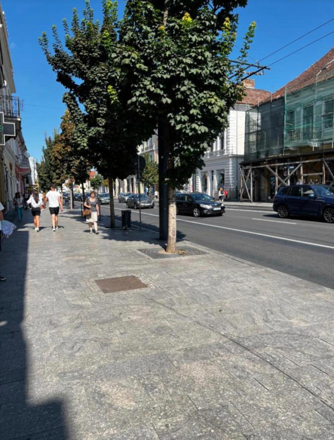 Ndl Downtown Διαμέρισμα Κλουζ-Ναπόκα Εξωτερικό φωτογραφία